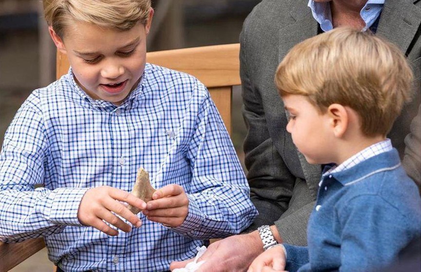 У сына принца Уильяма хотят забрать подарок, которому 23 миллиона лет