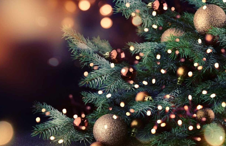 Огни на рождественской елке зажглись в Вифлееме