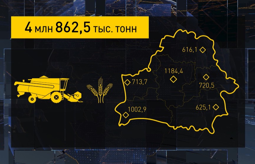 Жатва-2021: в Беларуси убрано около 5 млн тонн зерна