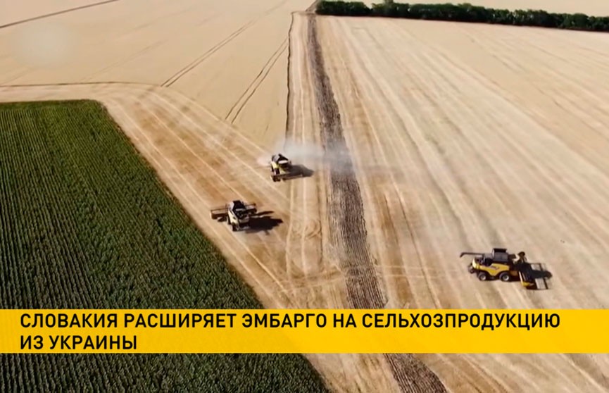 Словакия ужесточает эмбарго на украинскую сельхозпродукцию