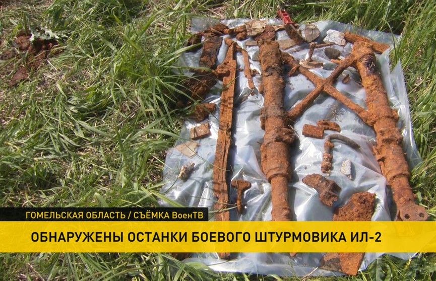 Останки боевого штурмовика Ил-2 обнаружили в Гомельской области