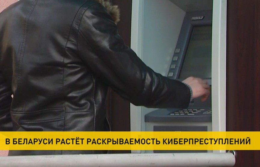 МВД: В Беларуси растет раскрываемость киберпреступлений