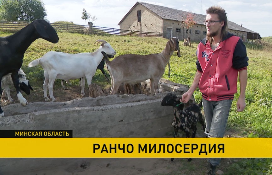 «Ранчо милосердия». Домашние условия для тех, кто создан быть диким