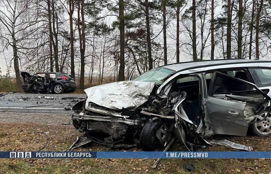 Под Добрушем Nissan вылетел на встречку и столкнулся с Opel – оба водителя погибли