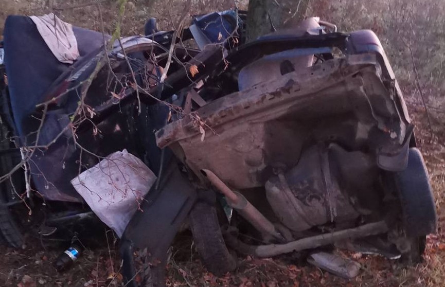 В Оршанском районе 22-летний водитель не справился с управлением и погиб