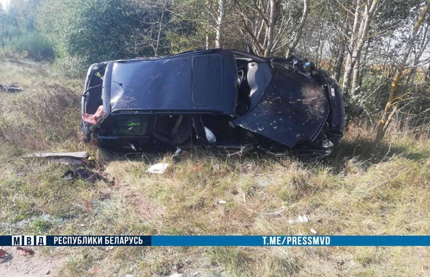 В Ляховичском районе Audi вылетела в кювет и врезалась в дерево – два человека погибли