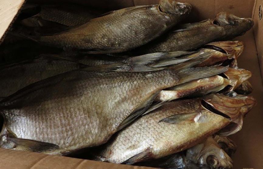 Опасную для потребителя рыбу пытались ввезти в Беларусь из России