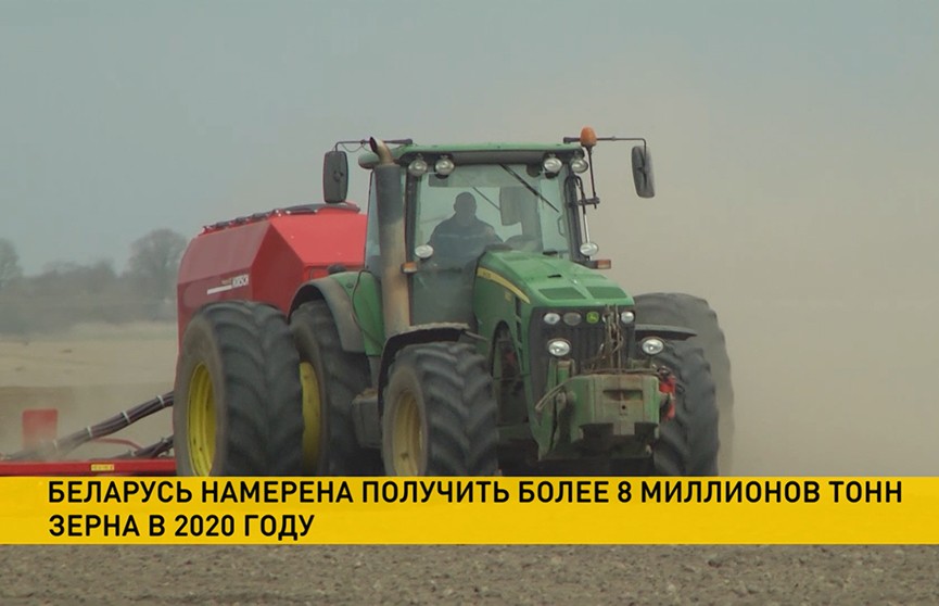 Беларусь намерена получить более 8 миллионов тонн зерна