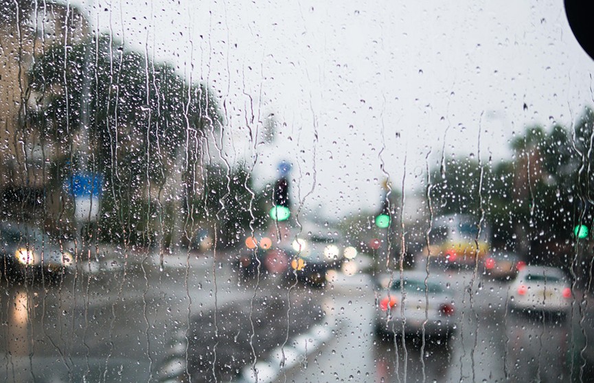 Дождливые выходные: прохладная и ветреная погода ждёт белорусов