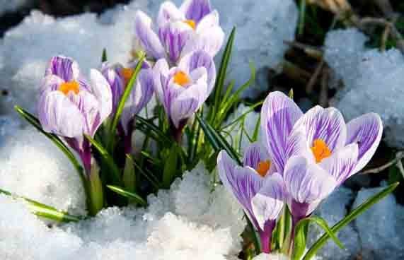 8 марта температурные рекорды были побиты почти во всех областных городах Беларуси