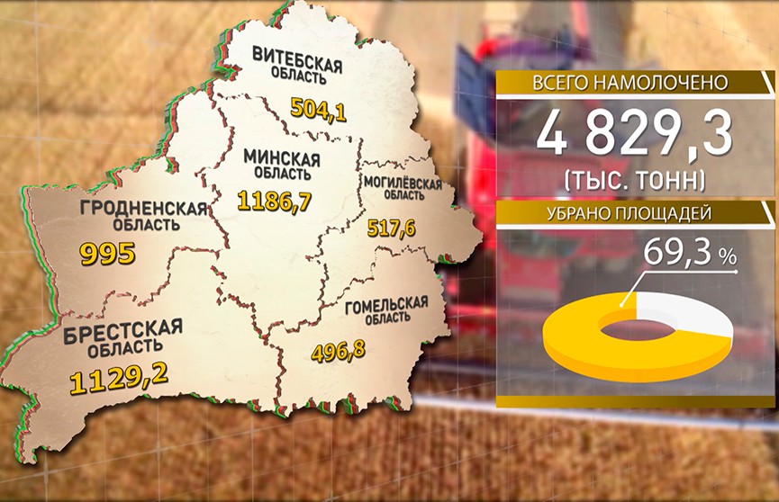 В Беларуси намолочено почти 5 млн тонн зерна