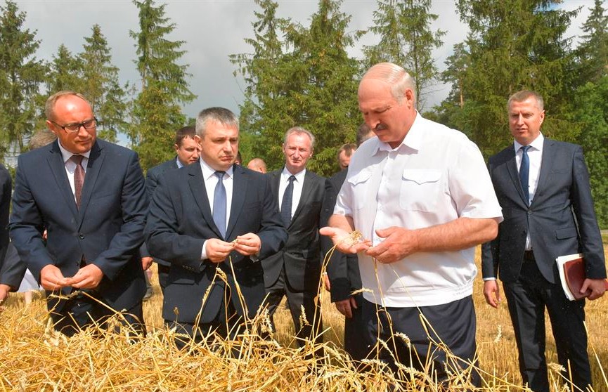 Лукашенко: Выборы – это вторично, а хлеб нужен всегда
