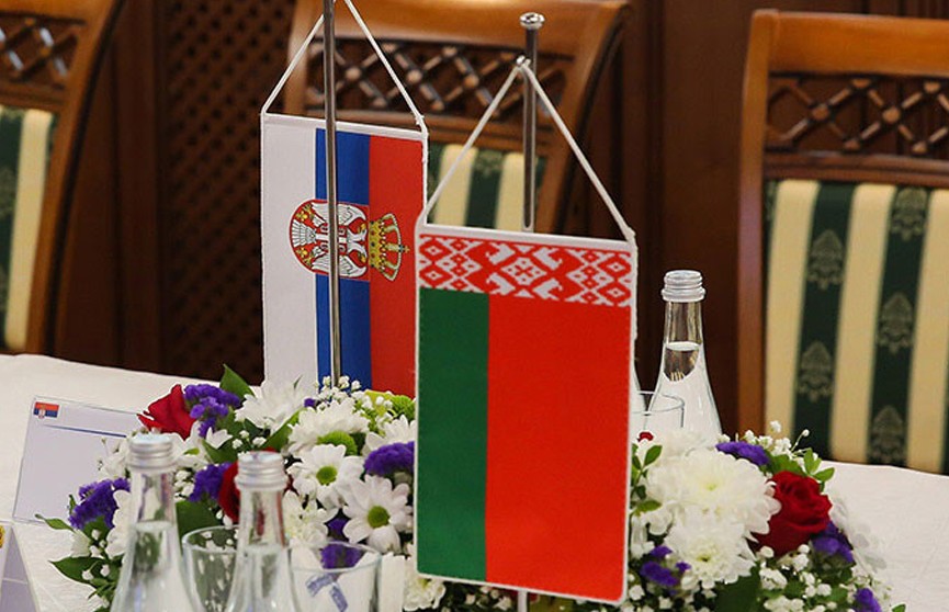 Вольфович и Вулин обсудили перспективы развития отношений Беларуси и Сербии