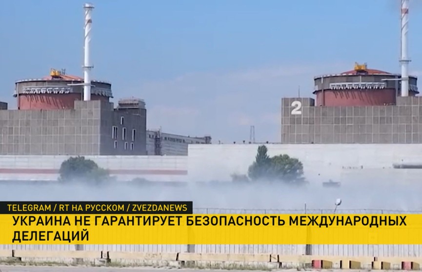 Киев не может гарантировать безопасность делегации МАГАТЭ, если она посетит Запорожскую АЭС