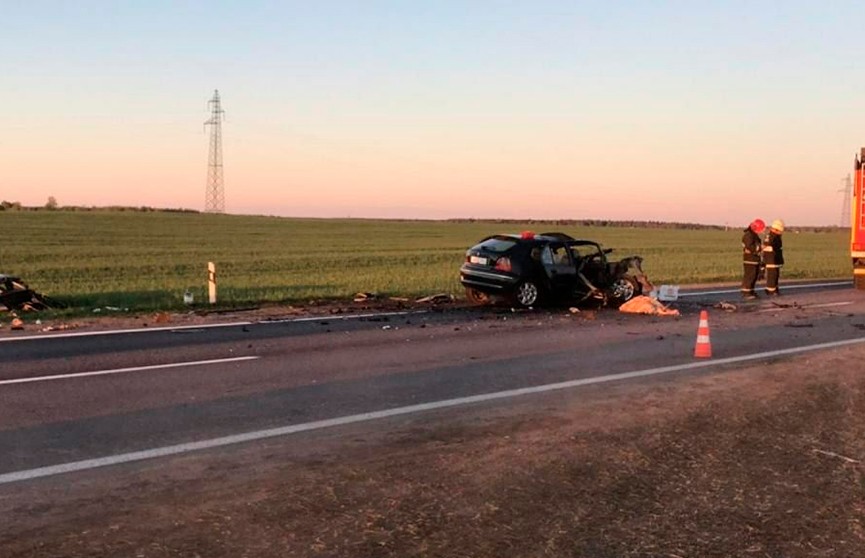 Rover и Citroën столкнулись лоб в лоб на трассе М5 – три человека погибли