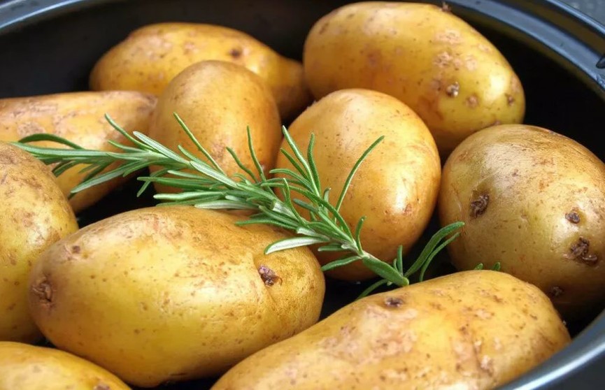 Какая картошка опасна для здоровья