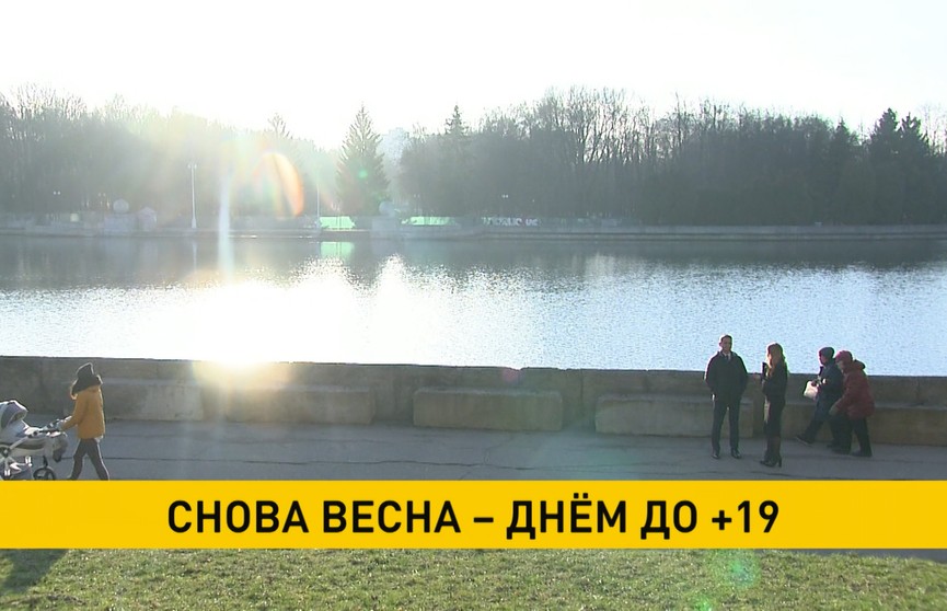 Сегодня в Беларуси будет до +19°С