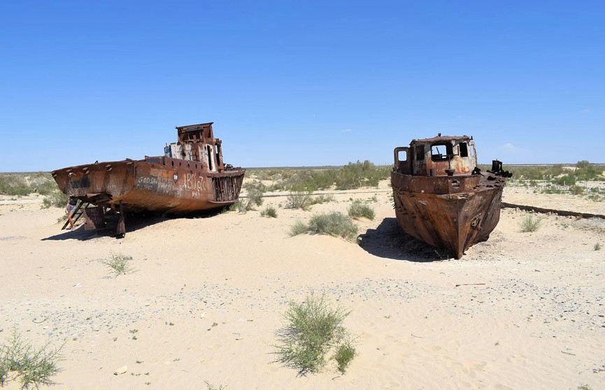 В Душанбе обсудили возрождение Аральского моря. Есть конкретные результаты