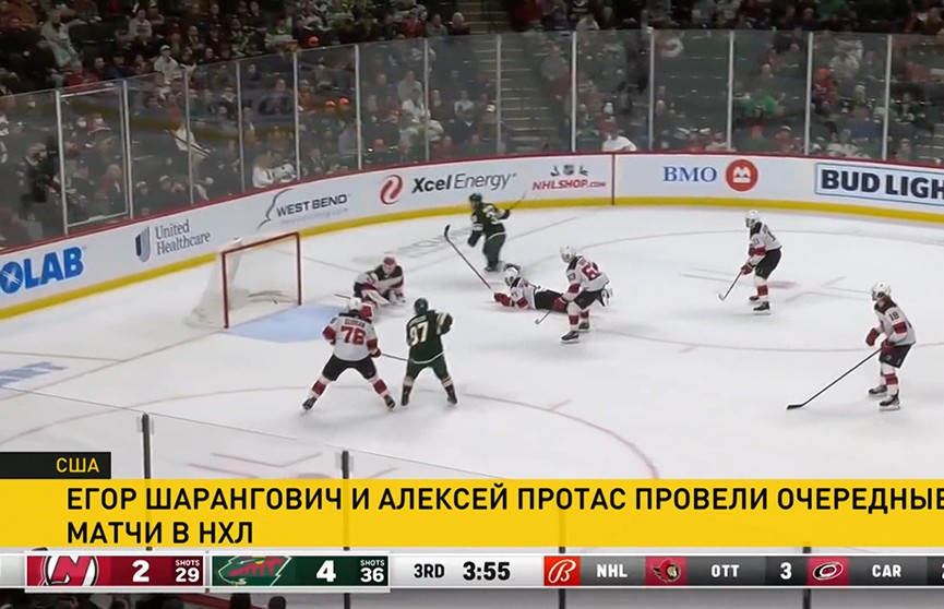 Как белорусские хоккеисты выступают в чемпионате НХЛ