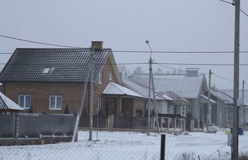 Снег, метель и гололед: в Гродно несколько деревьев упали на проезжую часть