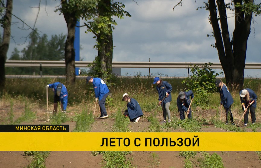 Работа студенческих отрядов в Беларуси в самом разгаре: где трудится и как проводит время молодежь?