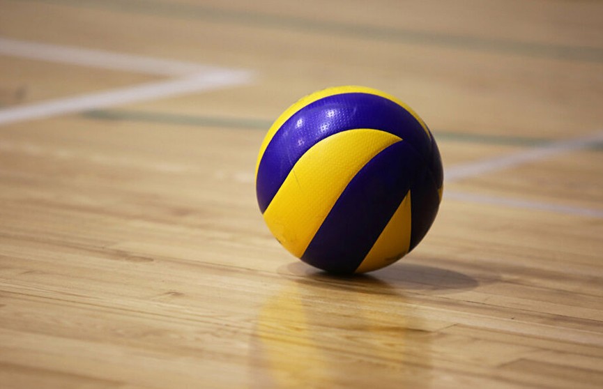 Чемпионат Беларуси по волейболу приостановлен