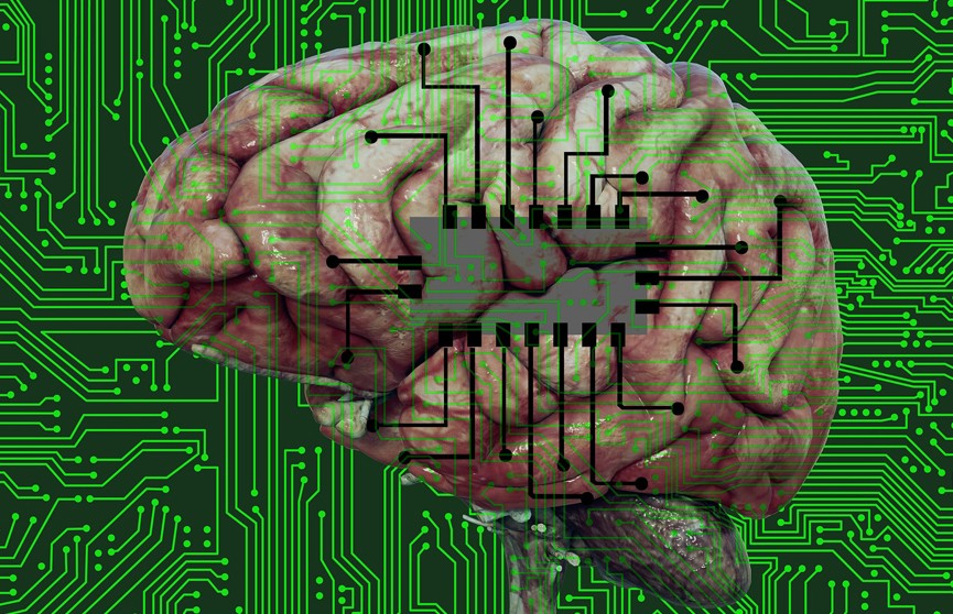 В США представили проект компьютера с клетками человеческого мозга