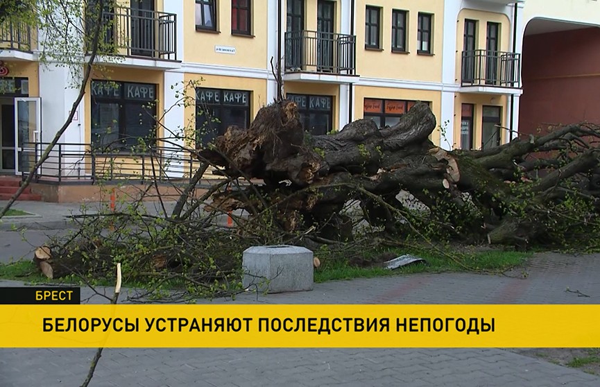 Непогода в Беларуси: поврежденные авто, крыши и билборды, поваленные деревья. Стихия не собирается утихать
