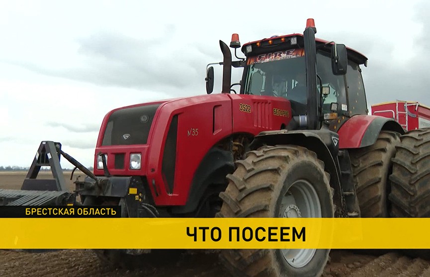 В Беларуси на полях уже появилась техника – стартовала посевная кампания