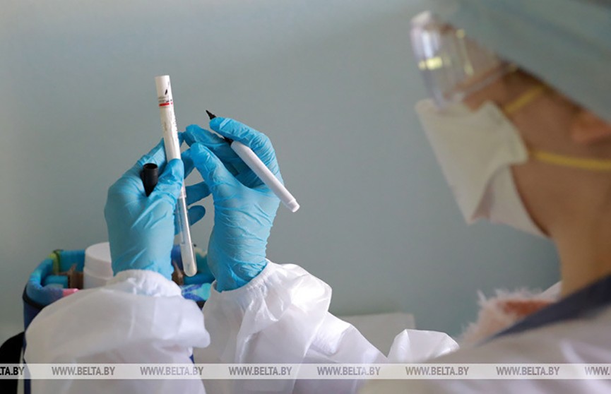 Covid-19: в Беларуси 6 человек выздоровели после заражения коронавирусом