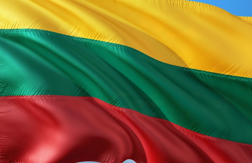 Глава Минобороны Литвы подал в отставку