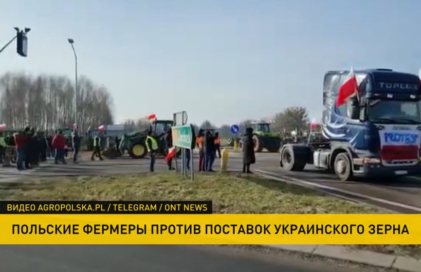 Польские фермеры снова выступили против поставок украинского зерна