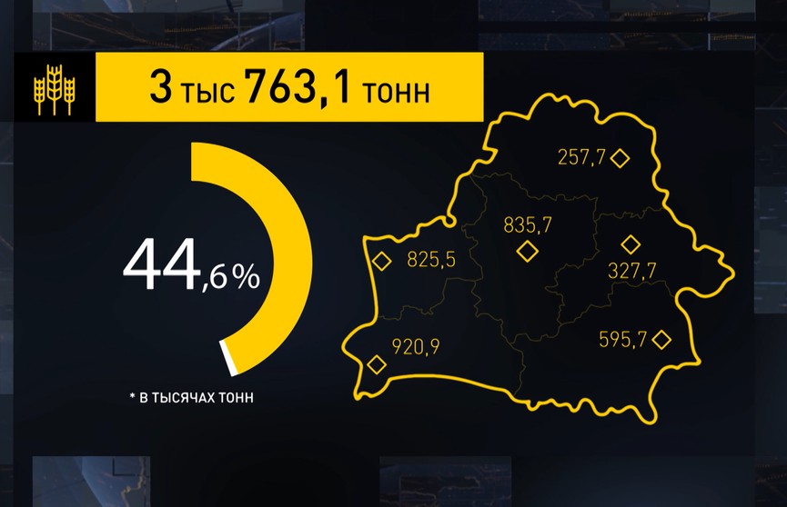 Урожай собран на 45% площадей зерновых