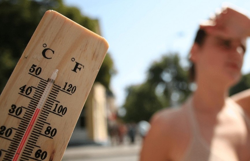 400 человек скончались от аномальной жары в Нидерландах