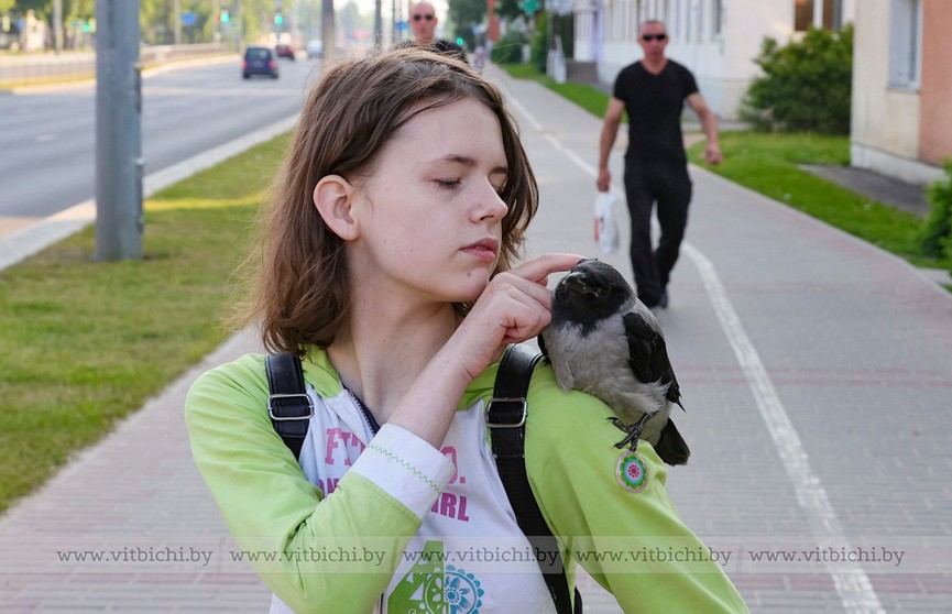 Удивительная история дружбы человека и вороны: девушку с птицей заметили в Витебске