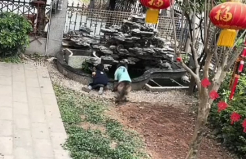 В Китае собака спасла от падения в пруд мальчика, пытавшегося достать оттуда игрушку. Пес оттащил ребенка, взял сачок и сам выловил потерянный предмет
