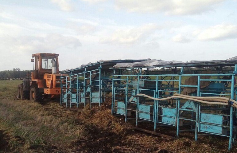 В Ивацевичском районе трактор насмерть задавил животновода