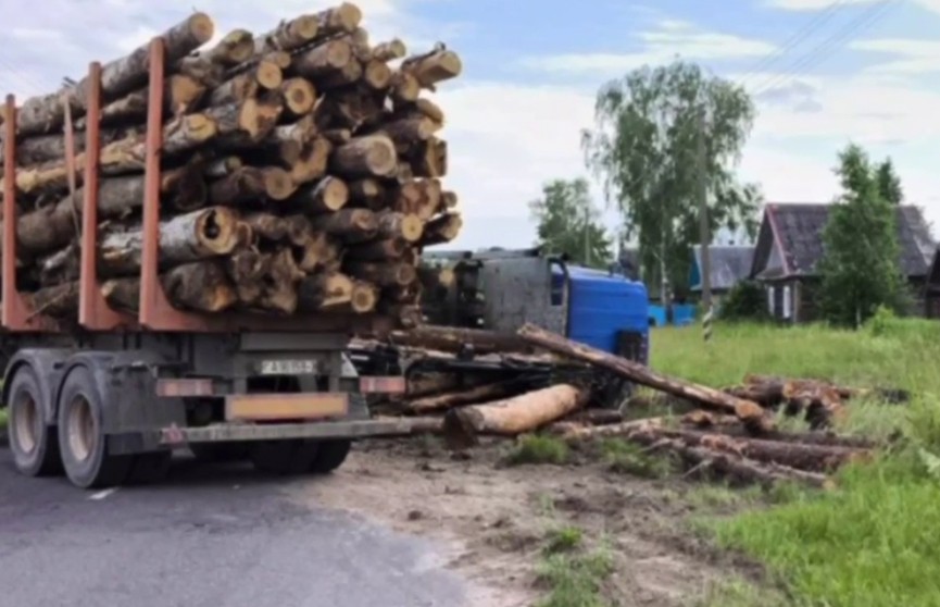 Девочка погибла под колесами лесовоза в Рогачевском районе