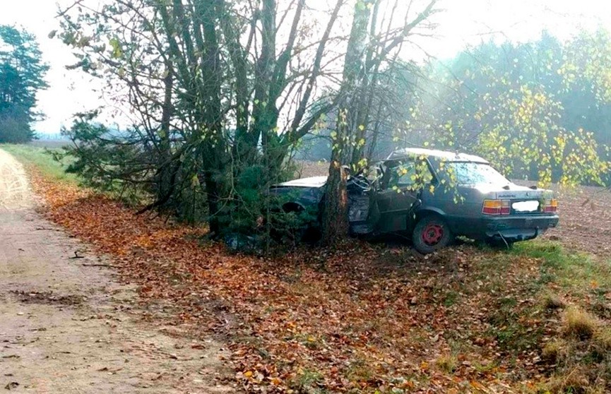 Беременная женщина погибла в Щучинском районе – она врезалась на автомобиле в дерево