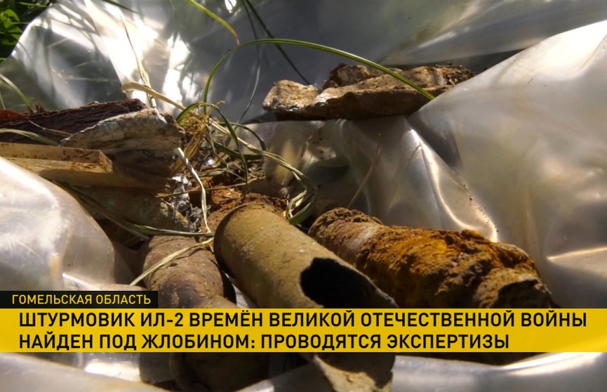 Человеческие останки обнаружены в боевом штурмовике Ил-2, сбитом в 1943 году под Жлобином