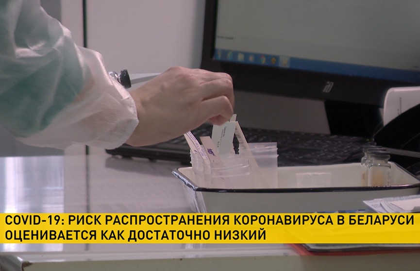 Караник: Риск распространения коронавируса в Беларуси оценивается как достаточно низкий
