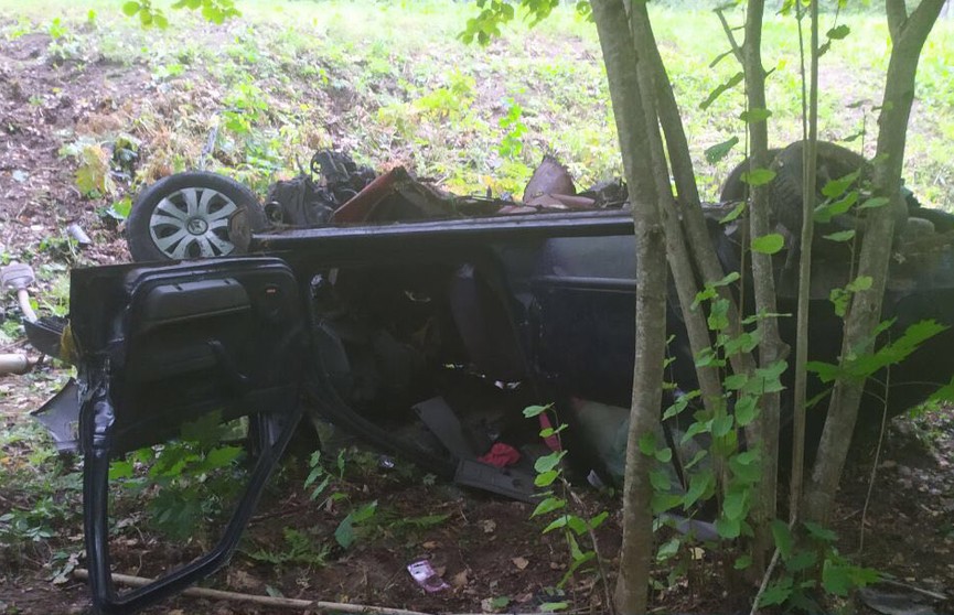 ДТП под Белыничами: пассажирка погибла, водитель – в реанимации
