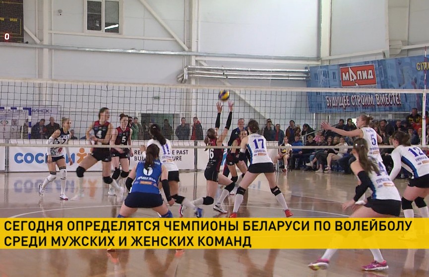 16 сентября определятся чемпионы Беларуси по волейболу среди мужских и женских команд