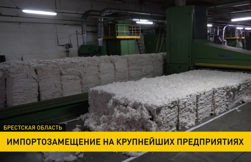 По пути импортозамещения идут предприятия Беларуси: на барановичском «Блакiте» работы завершат в течение года