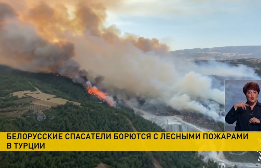 Белорусские спасатели помогают бороться с лесными пожарами в Турции
