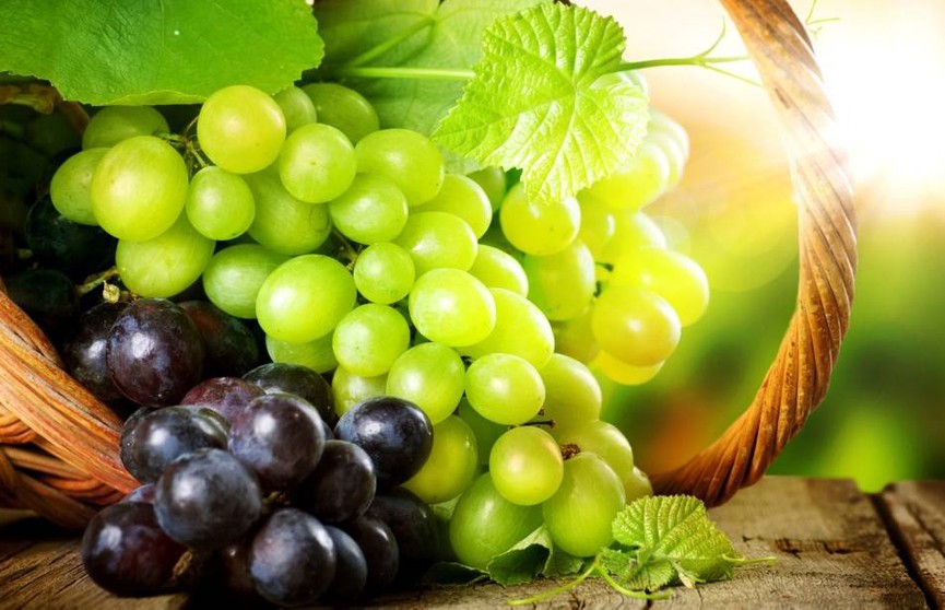 Стало известно, как виноград помогает в омоложении
