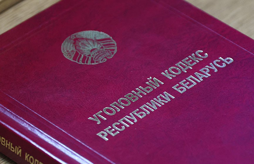 В Минске с начала года возбудили 18 уголовных дел за надругательства над госсимволами