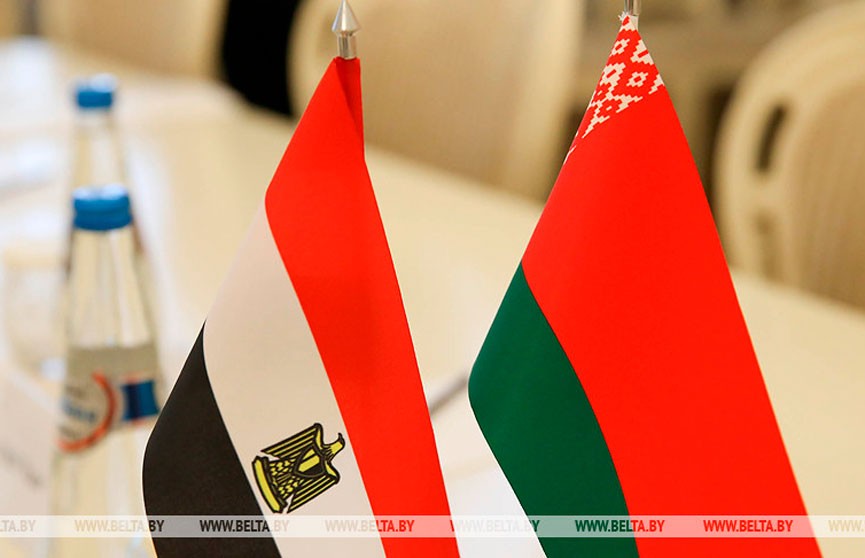 Беларусь и Египет инициируют сотрудничество в области гендерной политики
