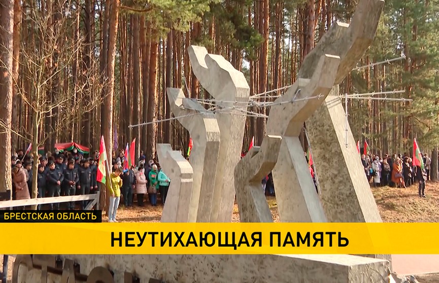 Обновленный мемориал на месте массового захоронения жертв фашизма открыли в урочище Стасино