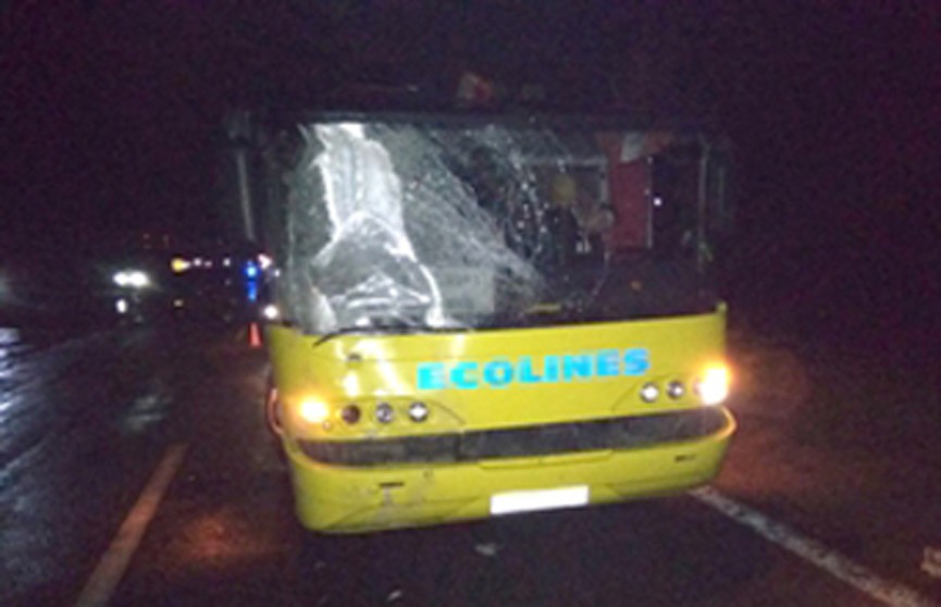 Минчанка погибла под колёсами рейсового автобуса в Воложинском районе